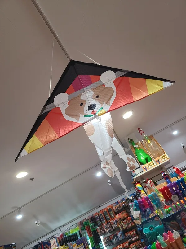 Colorful kite selection at Kids Cargo toy store